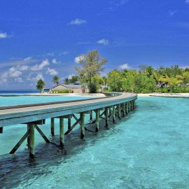 maldivler-centara-ras-fushi-balayi-uzmani (3)