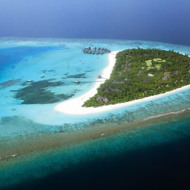 maldivler-coco-palm-dhuni-kolhu-island-balayi-uzmani (2)