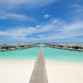 paradise-island-maldivler-balayi-uzmani (2)
